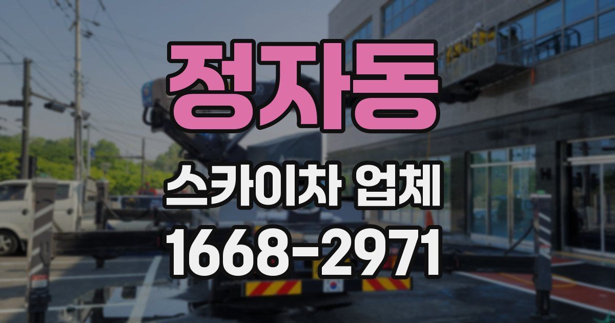 정자동 스카이차 업체