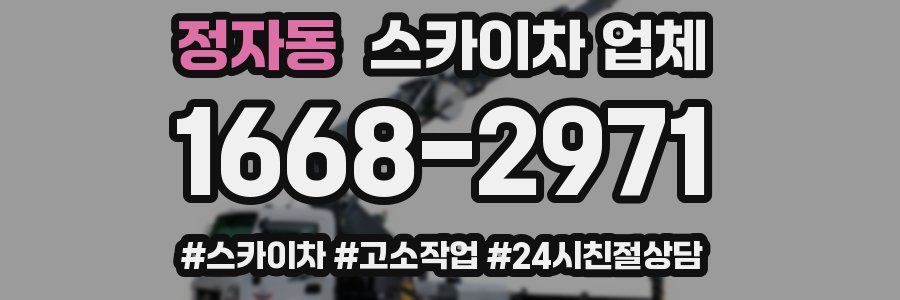 정자동 스카이차 업체