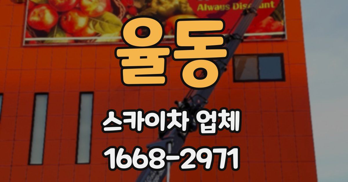 율동 스카이차 업체