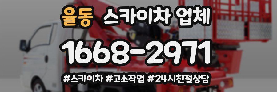 율동 스카이차 업체