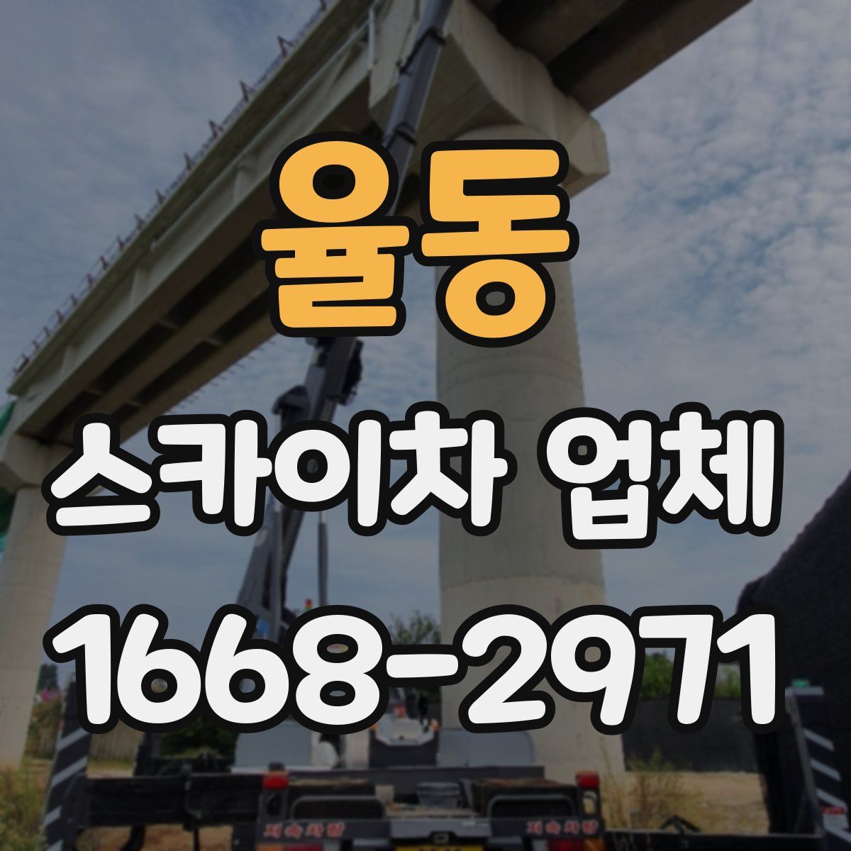 율동 스카이차 업체