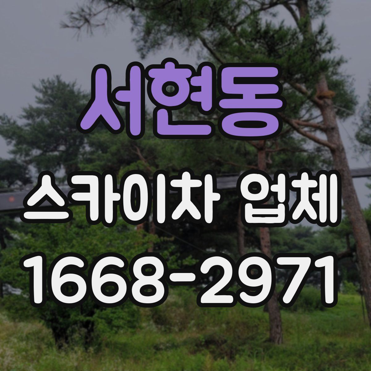 서현동 스카이차 업체