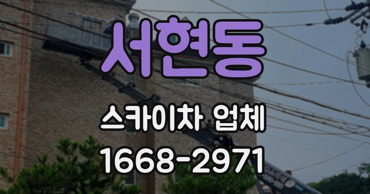 서현동 스카이차 업체
