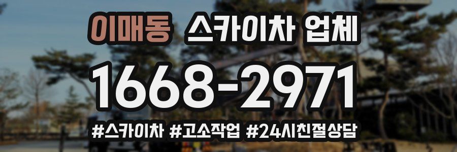 이매동 스카이차 업체