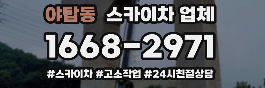 야탑동 스카이차 업체