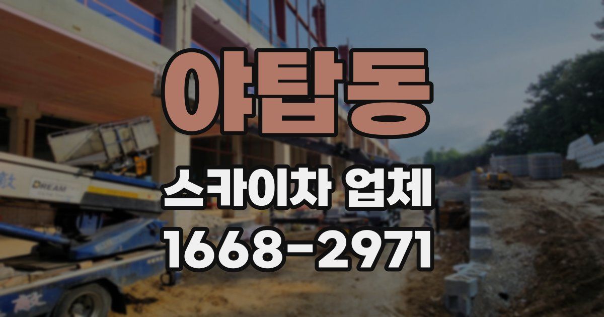 야탑동 스카이차 업체