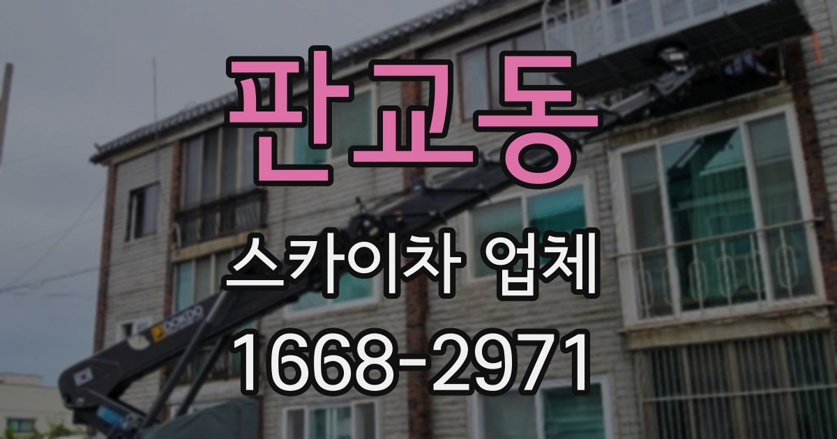 판교동 스카이차 업체