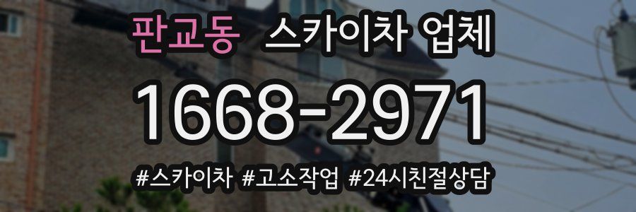 판교동 스카이차 업체