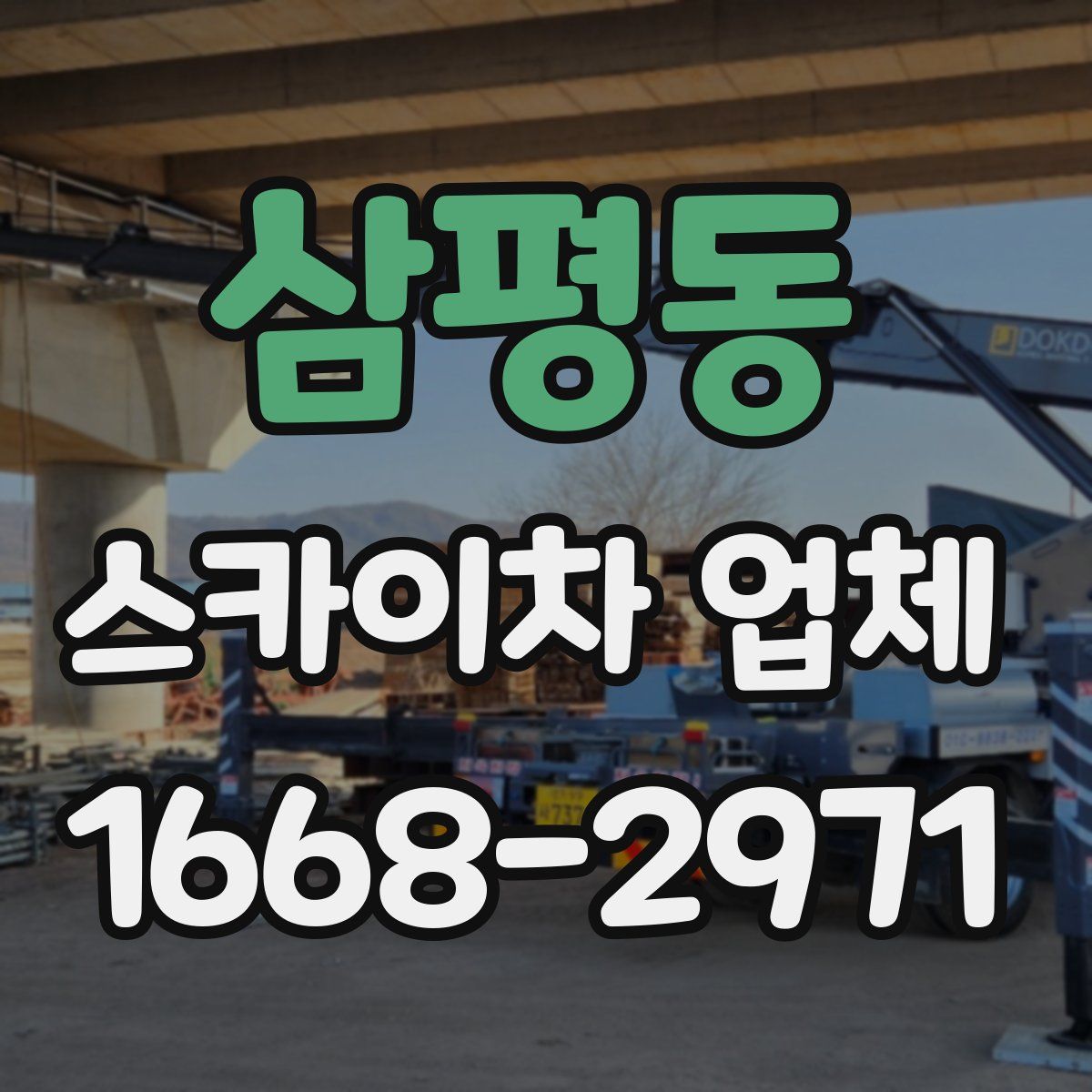 삼평동 스카이차 업체
