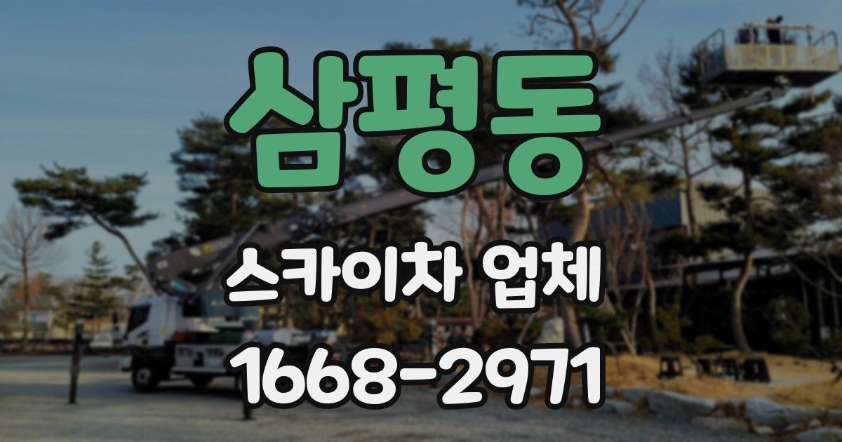 삼평동 스카이차 업체