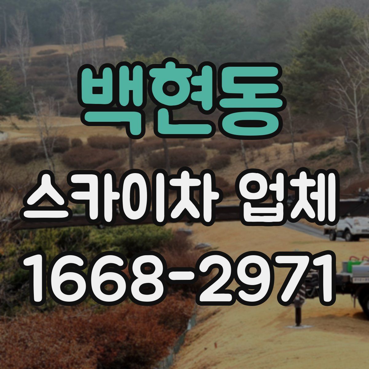 백현동 스카이차 업체
