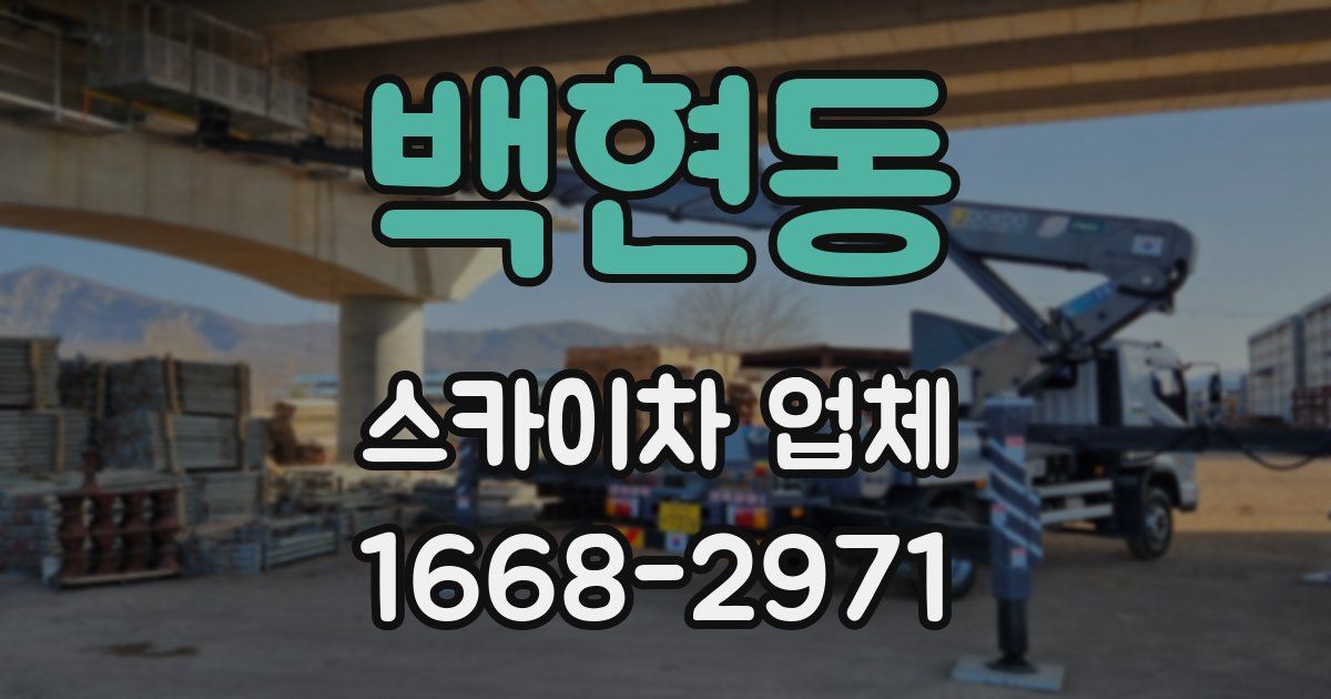 백현동 스카이차 업체