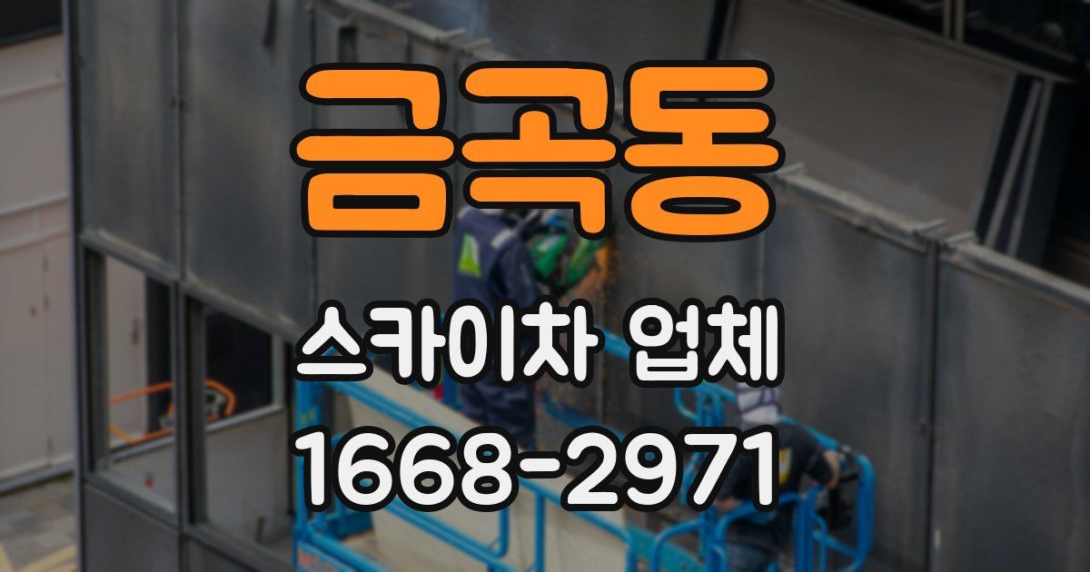 금곡동 스카이차 업체