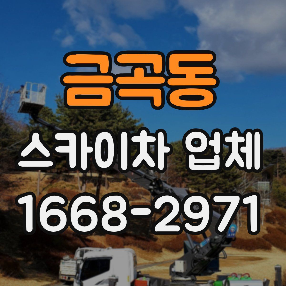 금곡동 스카이차 업체