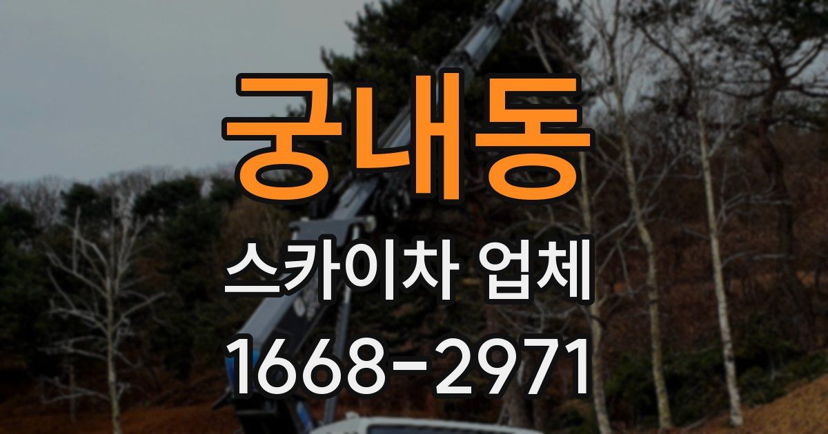궁내동 스카이차 업체