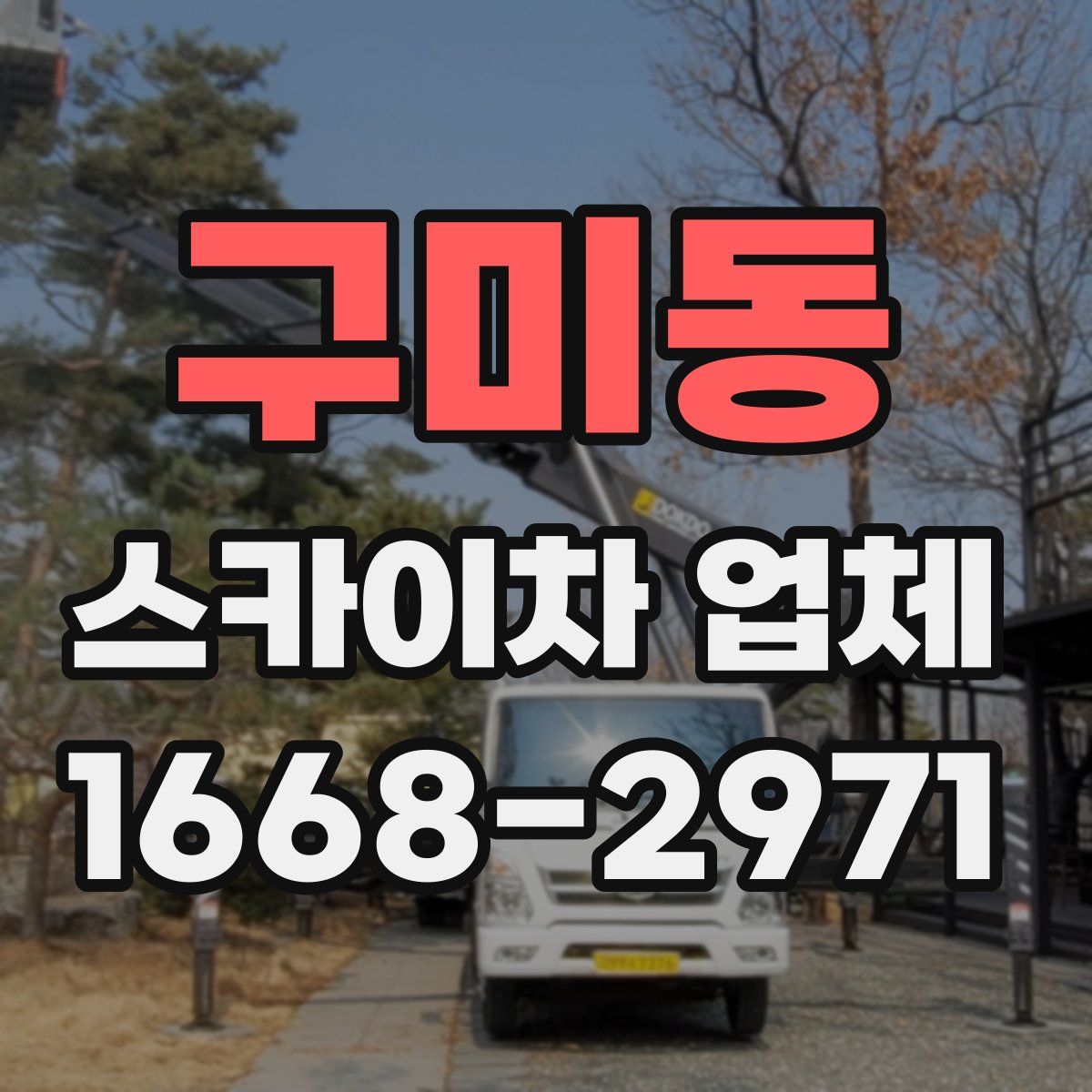 구미동 스카이차 업체