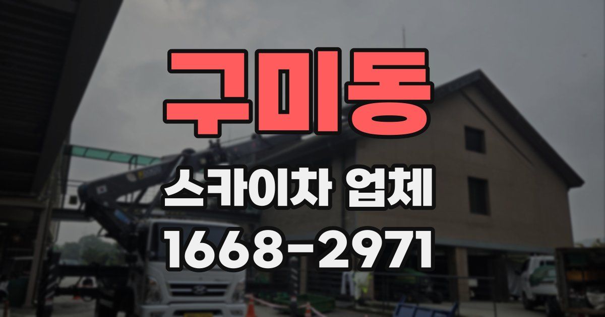 구미동 스카이차 업체