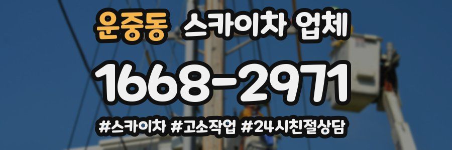 운중동 스카이차 업체