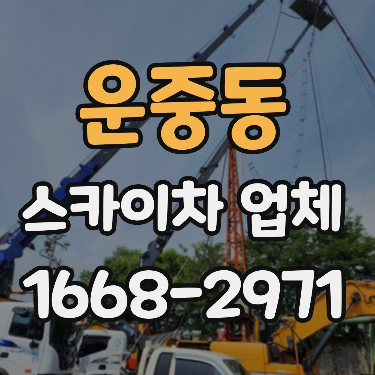 운중동 스카이차 업체