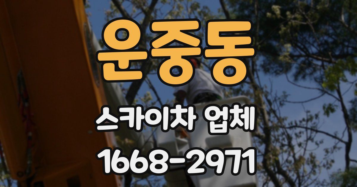 운중동 스카이차 업체