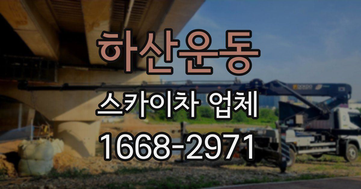 하산운동 스카이차 업체