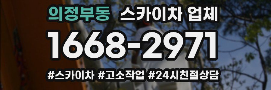 의정부동 스카이차 업체