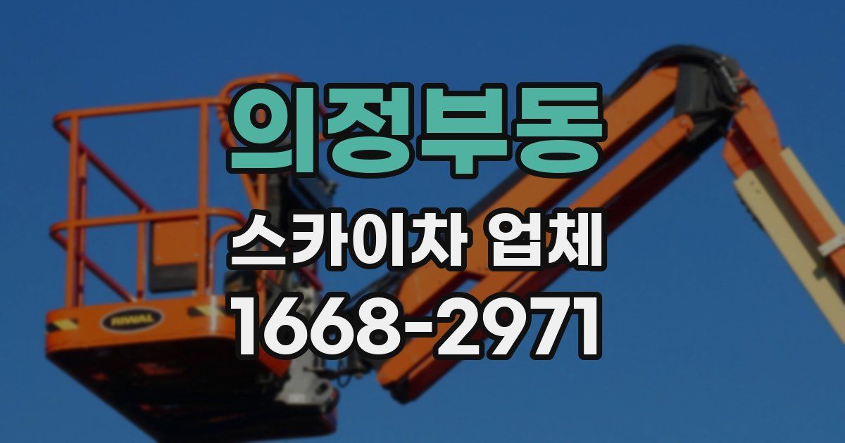 의정부동 스카이차 업체