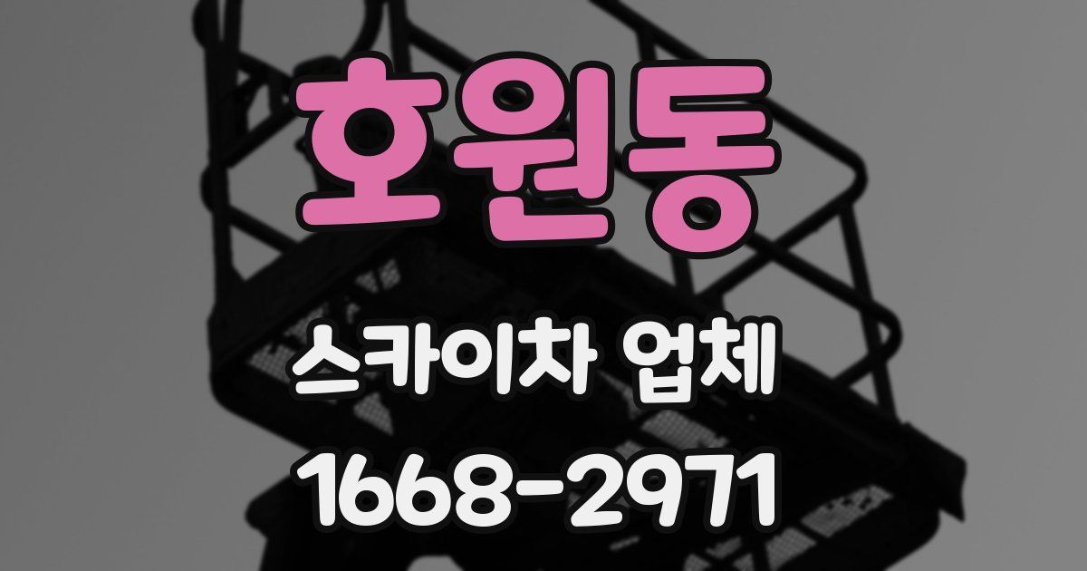 호원동 스카이차 업체