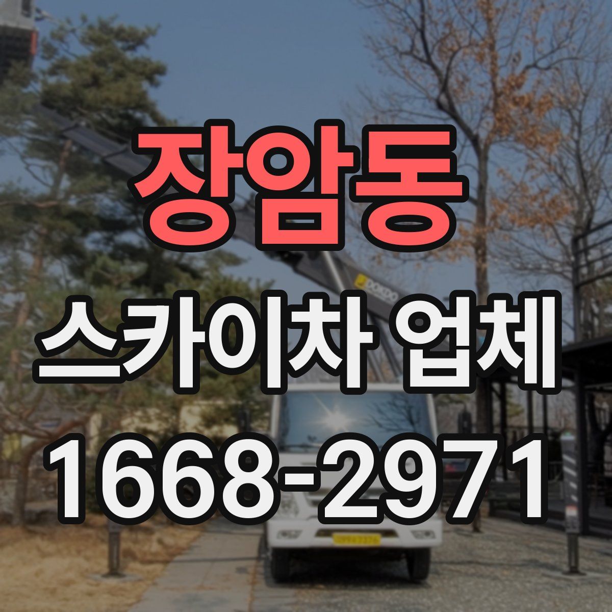 장암동 스카이차 업체