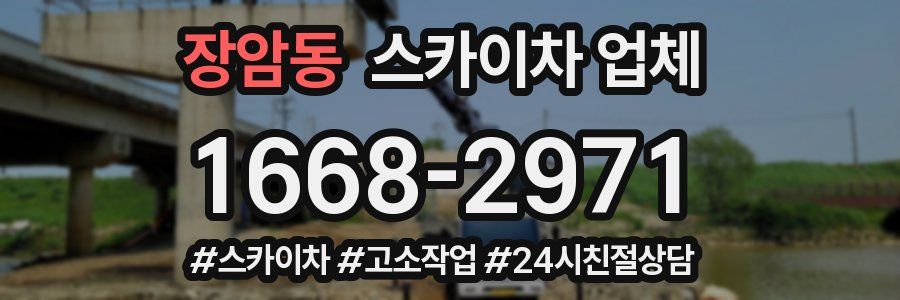 장암동 스카이차 업체