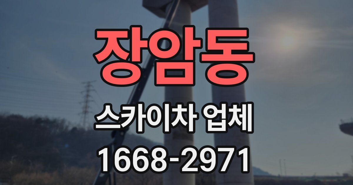 장암동 스카이차 업체
