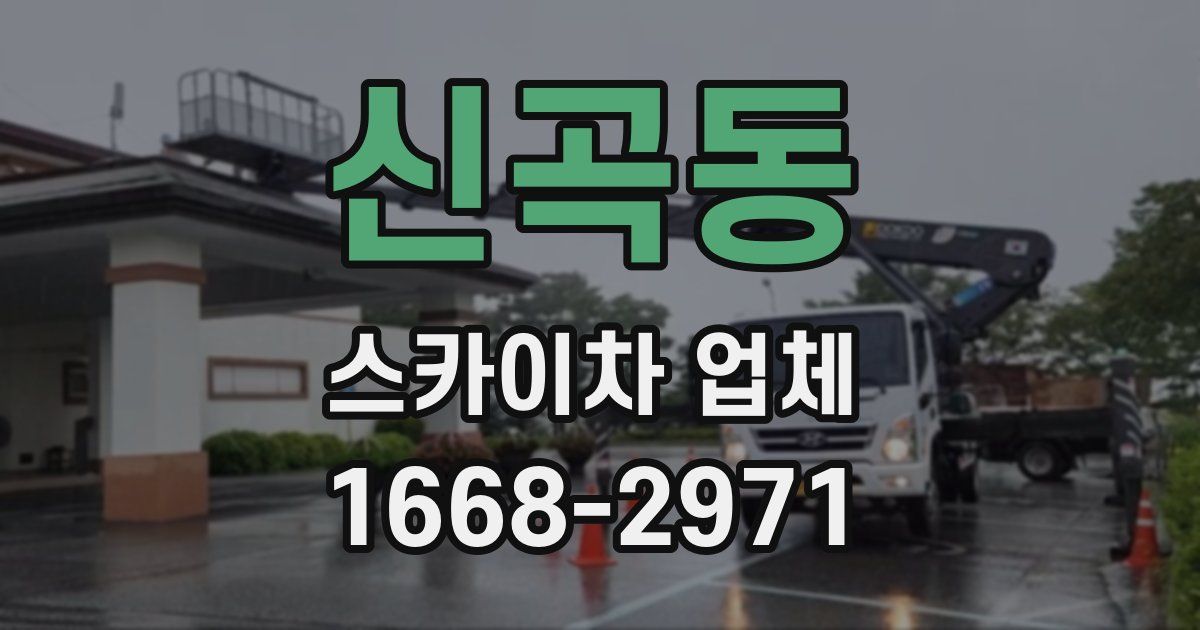 신곡동 스카이차 업체