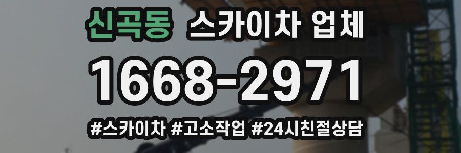 신곡동 스카이차 업체
