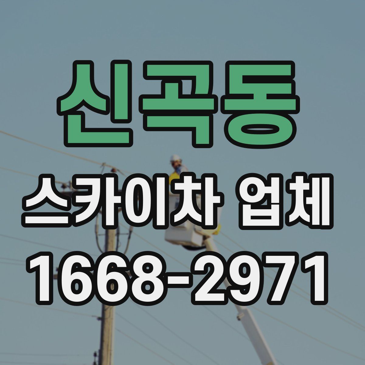 신곡동 스카이차 업체