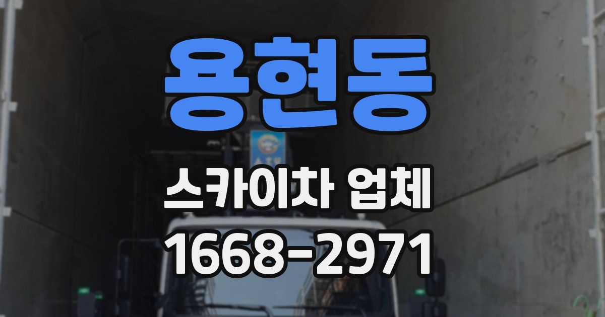 용현동 스카이차 업체