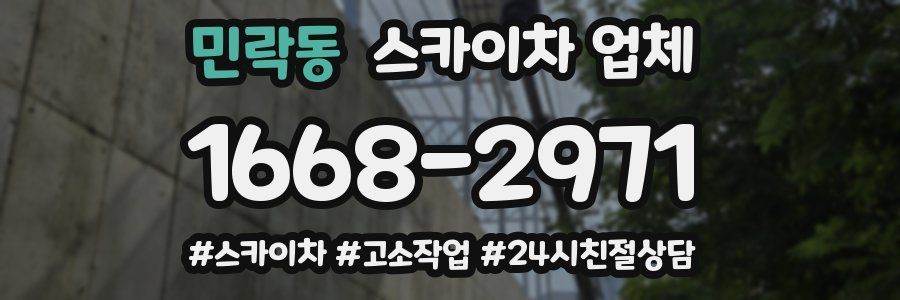 민락동 스카이차 업체