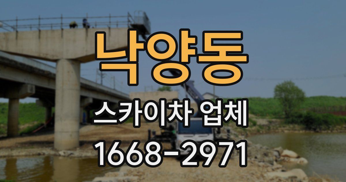 낙양동 스카이차 업체