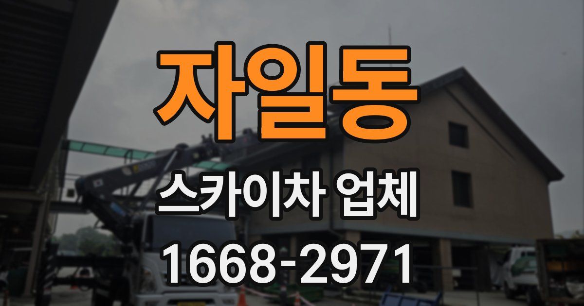 자일동 스카이차 업체