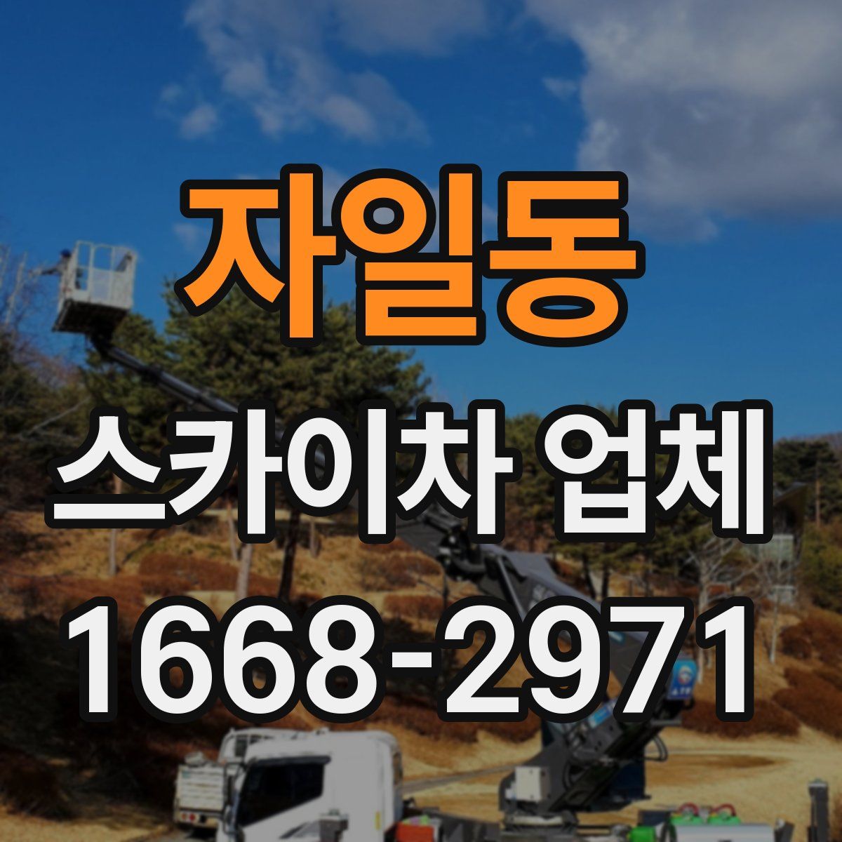 자일동 스카이차 업체