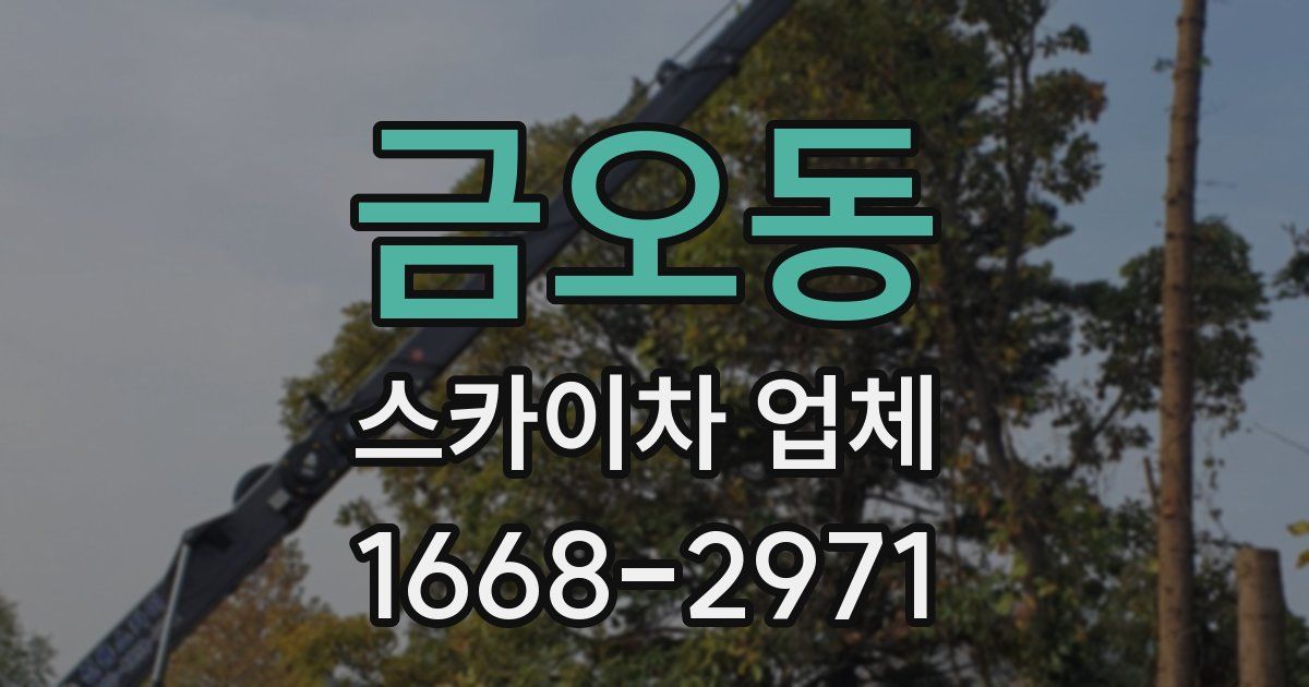 금오동 스카이차 업체