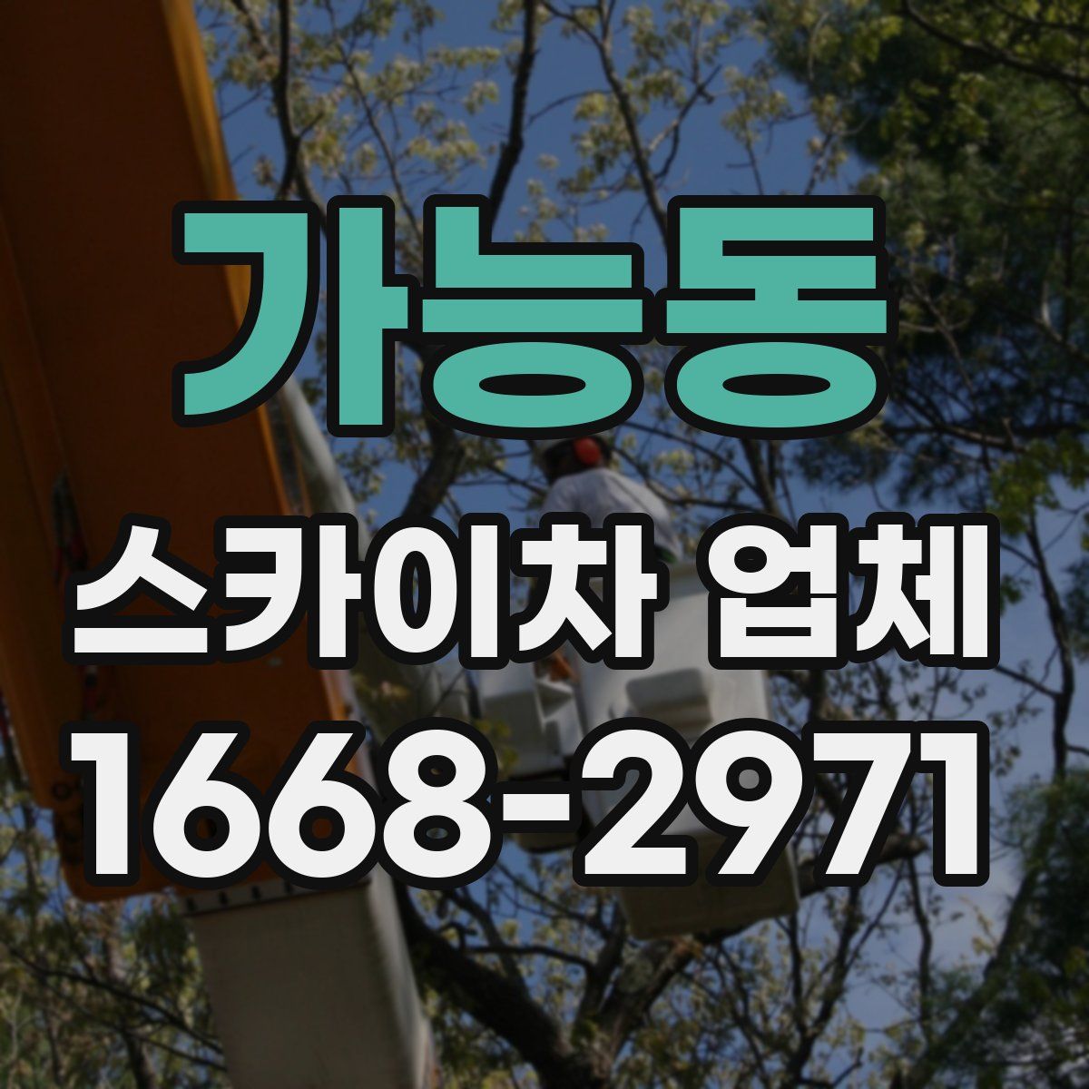 가능동 스카이차 업체