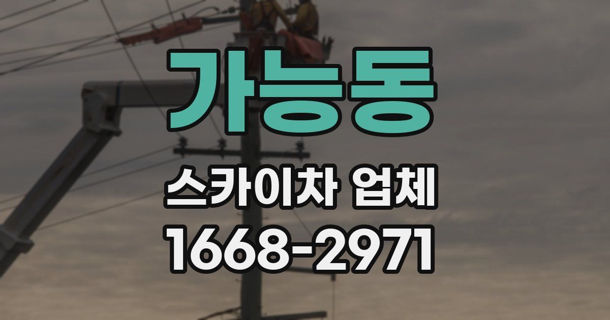 가능동 스카이차 업체