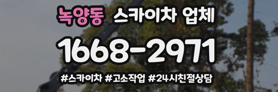 녹양동 스카이차 업체
