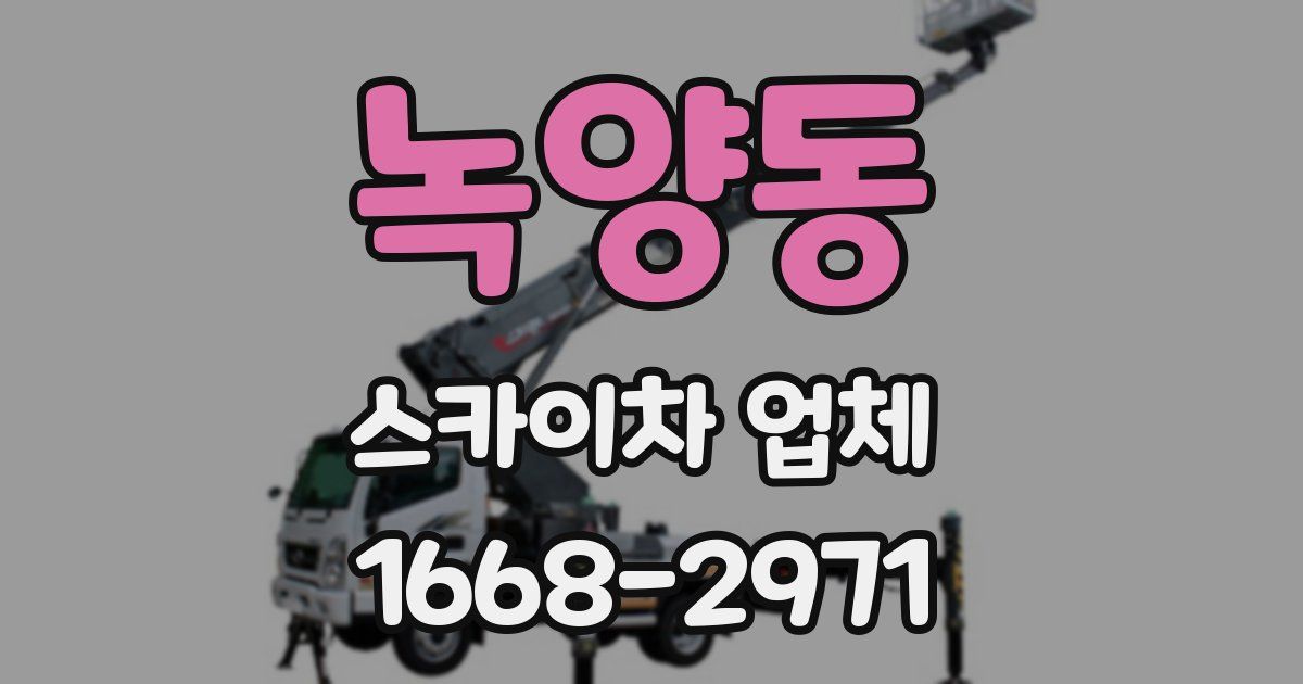 녹양동 스카이차 업체