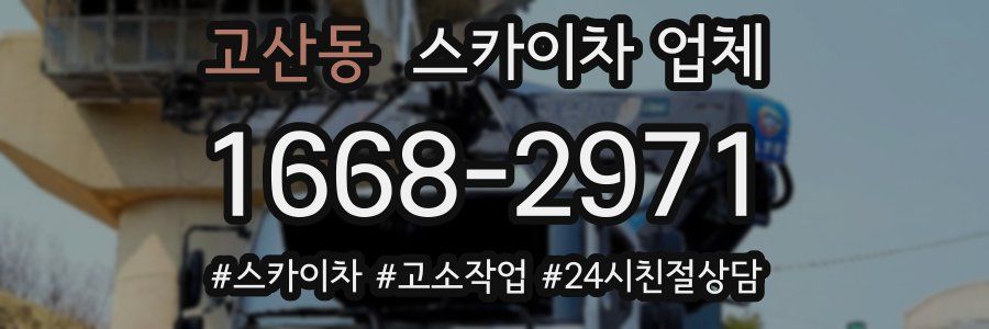 고산동 스카이차 업체