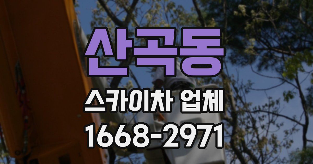 산곡동 스카이차 업체