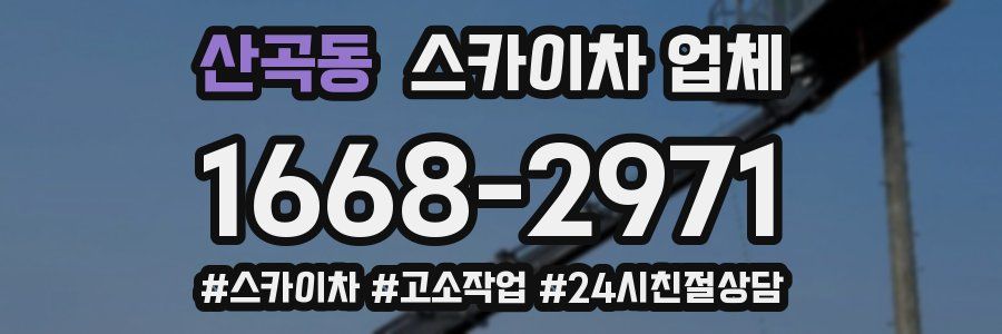 산곡동 스카이차 업체