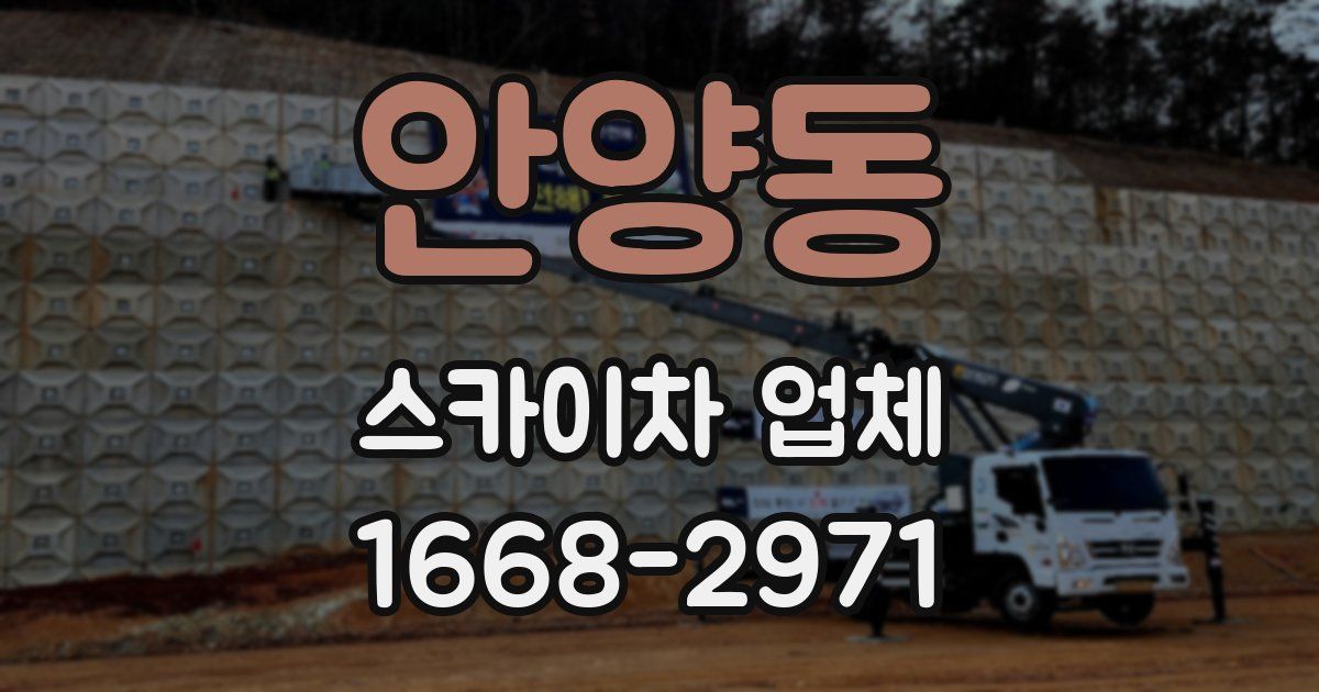 안양동 스카이차 업체