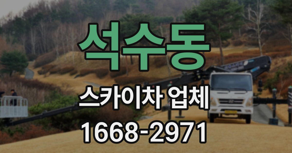 석수동 스카이차 업체