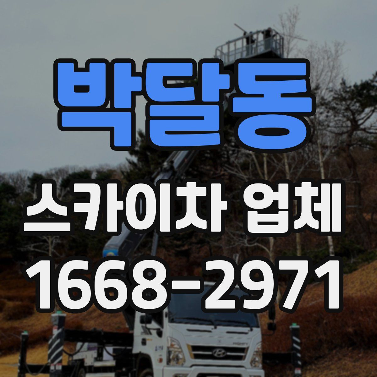 박달동 스카이차 업체